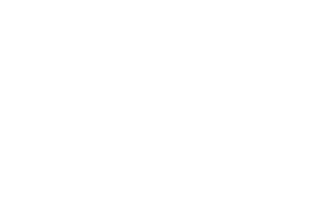 SSAIB logo